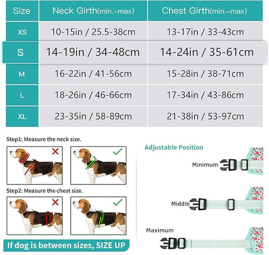 Timos Dog Harness, 3 Snap Buckles No-Pull Soft Padded Dog Vest with 2 Metal Leash Clips,Adjustable Reflective No Choke Pet Harness with Easy Control Handle for Small Dogs,Cyan,S Timos