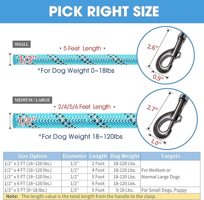BAAPET 2/4/5/6 FT Dog Leash with Comfortable Padded Handle and Highly Reflective Threads for Small Medium and Large Dogs (5FT-1/3'', Blue) BAAPET