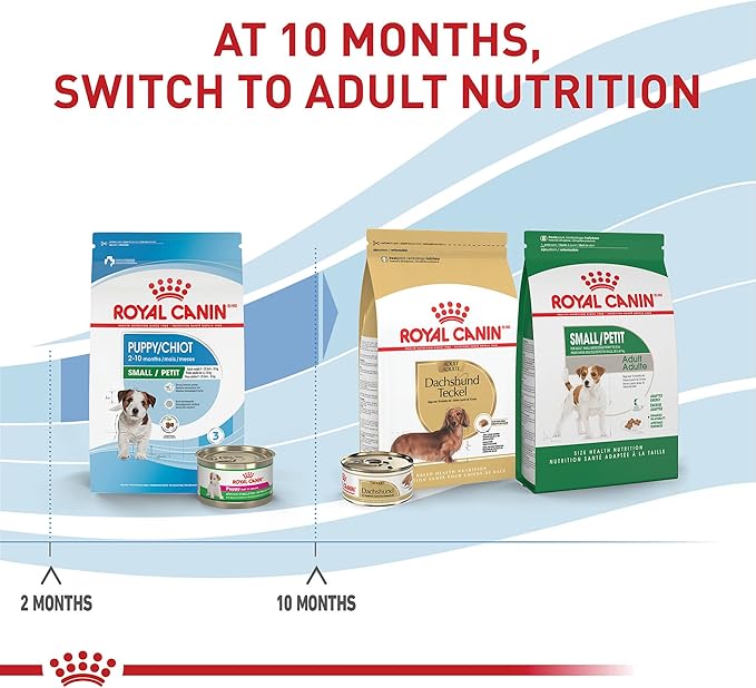 Royal Canin Size Health Nutrition Small Puppy Dry Dog Food, 2.5 lb bag - PAWPICO
