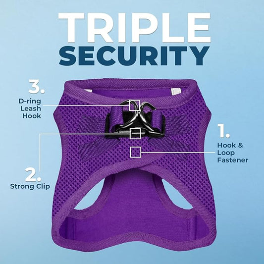 Voyager Step-in Air Dog Harness - All Weather Mesh, Reflective, No Pull Harness for Small, Medium Dogs, Cats - Secure with Hook & Loop Fastener, Buckle, Double D-Rings - Purple, XS BestPetSuppliesLLC