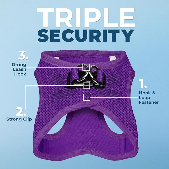 Voyager Step-in Air Dog Harness - All Weather Mesh, Reflective, No Pull Harness for Small, Medium Dogs, Cats - Secure with Hook & Loop Fastener, Buckle, Double D-Rings - Purple, XXS BestPetSuppliesLLC