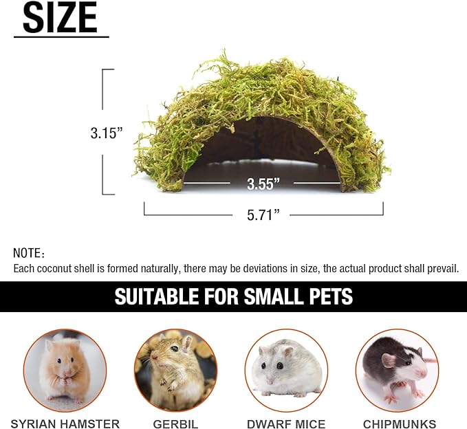 Hamster Hideaway,Hamster Hideout,Mossy Cave Hide,Hamster House/Hides,Hamster Cage Accessories for Gguinea Pig/Hedgehogs/Gliders/Rats/Mice and Other Small Animals (Small) SanmooAio