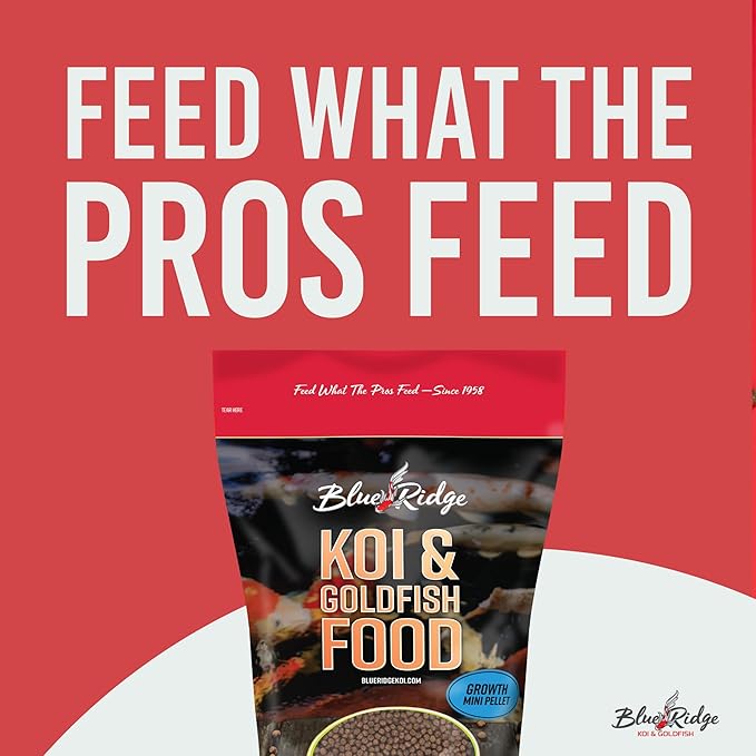 Blue Ridge Koi Fish Food 2lb - Koi Food Mini Growth Formula Goldfish Food, Premium Fish Food for Ponds, Ponds Fish Food, Koi Food Fall and Winter Fish Food, Floating Pond Pellets Fish Food BlueRidgeFishHatchery