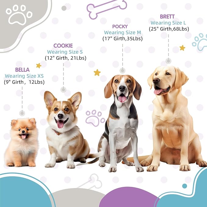 Small Dog Harness, Adjustable No-Pull, Tri-Color, Step-in Design, Heavy Duty, Easy Walk, Size 4/5"W x Chest 16" - 20" Pawhuggies