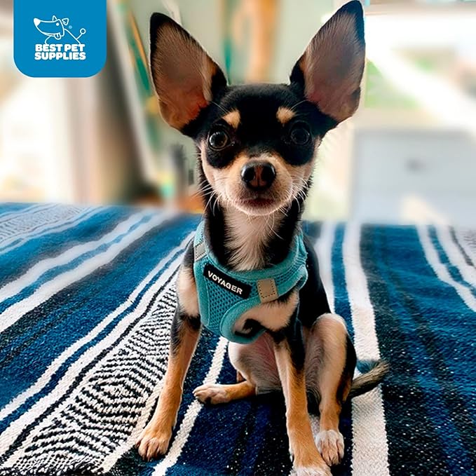 Voyager Step-In Air Dog Harness - All Weather Mesh, Reflective, No Pull Harness for Small, Medium Dogs, Cats - Secure with Hook & Loop Fastener, Buckle, Double D-Rings - Baby Blue, XXXS BestPetSuppliesLLC