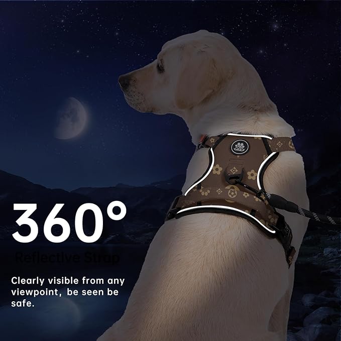 IVY&LANE No Pull Dog Harness with Leash Set, Reflective No Choke Pet Vest,Adjustable Oxford Dog Vest Harness with Easy Control Handle for Large Dogs (Dark Brown,XL) IVYLANE