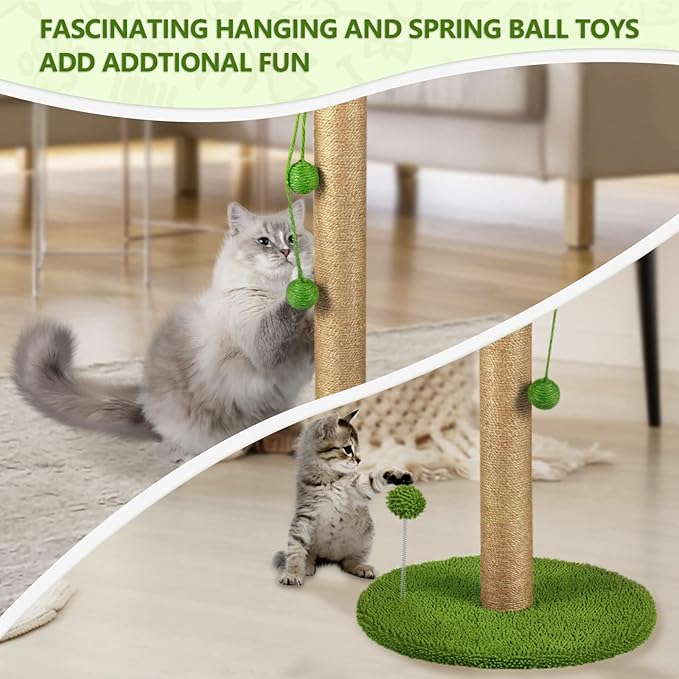 Dohump Cat Scratching Post, 31" Tall Scratch Tree with Premium Sisal Rope, Two Interactive Dangling Balls and Spring Ball Toys for Indoor Kittens and Cats - PAWPICO