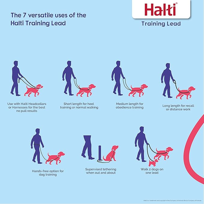 HALTI Training Leash - Multifunctional Double-Ended Dog Leash, Ideal for Anti-Pulling Dog Training. Easy to Use, Lightweight & Durable. Suitable for Medium to Large Dogs & Puppies (Size Large, Black) CompanyofAnimals