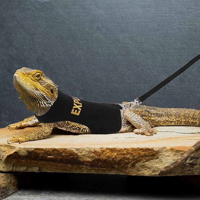 Hypeety Bearded Dragon Harness and Leash Set Adjustable Escape Proof Leash Outdoor Walking Training Leash and Harness for Bearded Dragon Lizard Reptiles Small Pets Black (Explorer) Hypeety