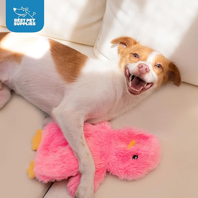 Best Pet Supplies Chicken Crinkle Plush Dog Toys for Interactive Play, Puppy and Senior Indoor Play, Colorful Chicken Toy Shape, Cute and Cuddly - Crinkle Chicken (Pink) - PAWPICO