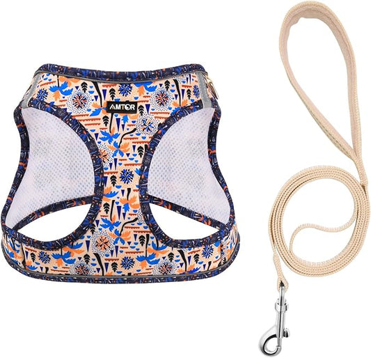 AMTOR Small Dog Harness with Leash Set, No Escape Easy Walk Puppy Harnesses for Training Walking, Step-in Reflective Soft Dogs Vest for XS S Medium Extra-Small Large Sized Dog(Beige Coconut) AMTOR