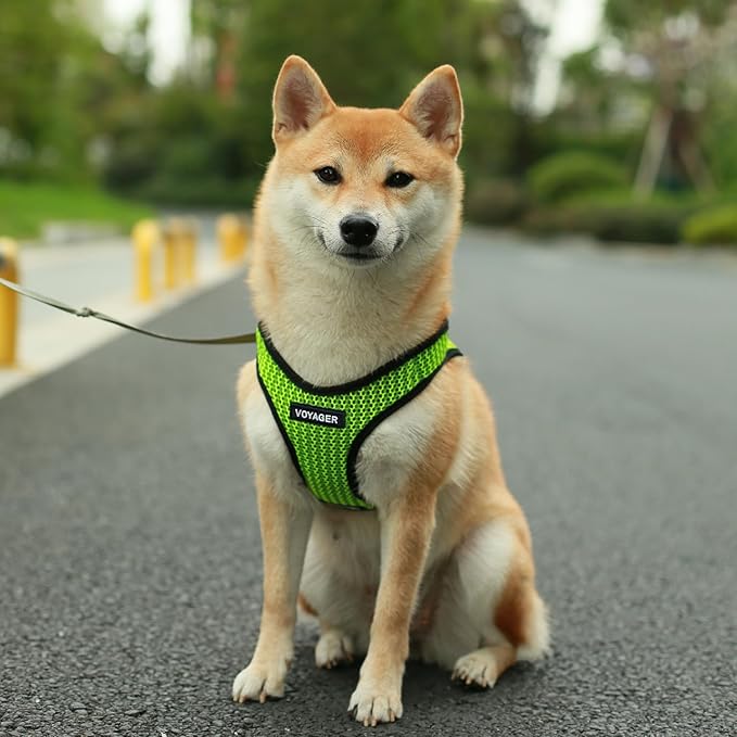 Voyager Step-in Air Dog Harness - All Weather Mesh, Reflective, No Pull Harness for Small, Medium Dogs, Cats - Secure with Hook & Loop Fastener, Buckle, Double D-Rings - Lime Green 2-Tone, S BestPetSuppliesLLC