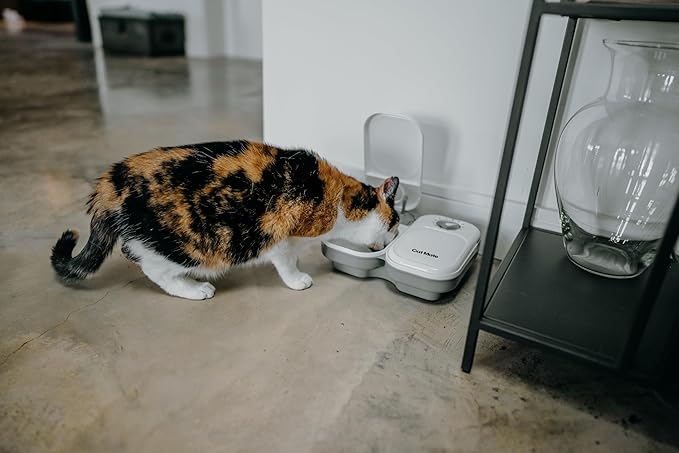 Cat Mate C200 2-Meal Automatic Pet Feeder for Cats and Small Dogs with Ice Pack - PAWPICO