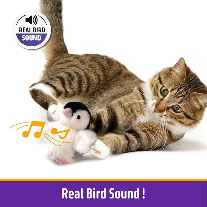Interactive Cat Toy Rechargeable Automatic Chirping Penguin Flying Bird Cat Toy Infused with Catnip in The Wings, Auto Beating Wings Cat Toys for Indoor Cats to Play Alone, Never Boredom - PAWPICO