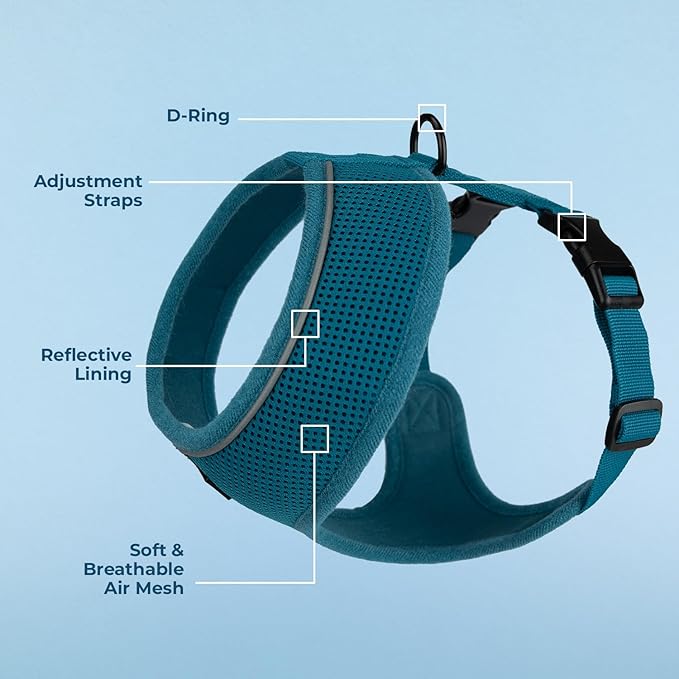 Voyager Aerolite No Pull Mesh Dog Harness with Lightweight, Soft, Breathable, Reflective Stitching, and Adjustable Straps for Walking, Running, Training, Heavy Duty and Durable - Turquoise, S BestPetSuppliesLLC
