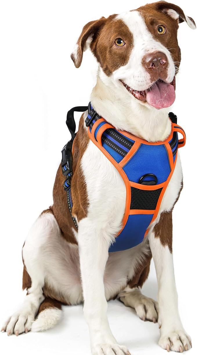 rabbitgoo Dog Harness No Pull with 2 Leash Clips, Adjustable Soft Padded, Reflective Oxford No Choke Pet Vest with Easy Control Handle for Large Dogs, Blue & Orange, L rabbitgoo