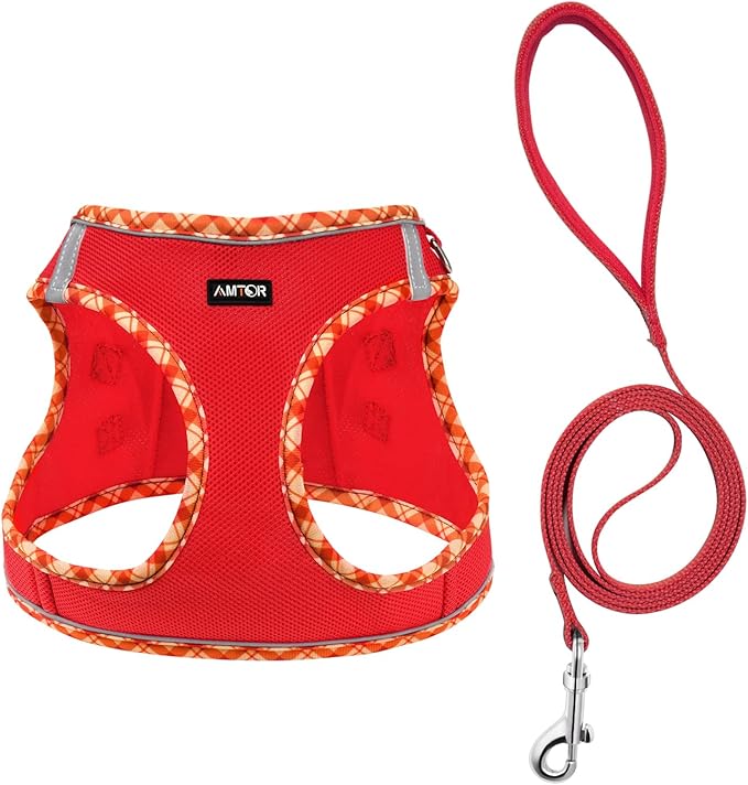 AMTOR Small Dog Harness with Leash Set, No Escape Easy Walk Puppy Harnesses for Training Walking, Step-in Reflective Soft Dogs Vest for XS S Medium Extra-Small Large Sized Dog(Red) AMTOR