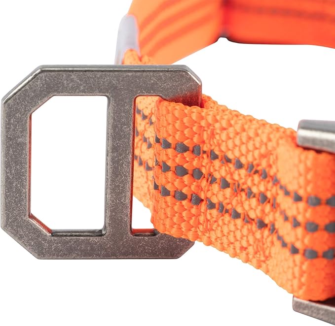 Carhartt Fully Adjustable Nylon Webbing Collars for Dogs, Reflective Stitching for Visibility, Hunter Orange (Nylon Webbing), Large Carhartt