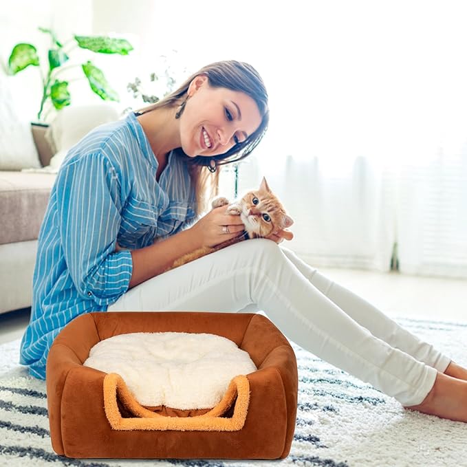 Cat Bed Cave for Indoor Cats,Cat House Tent Bed with Removable Washable Cushioned Pillow, 2-in-2 Kitten Beds for Indoor Kittens,Pet Bed - PAWPICO