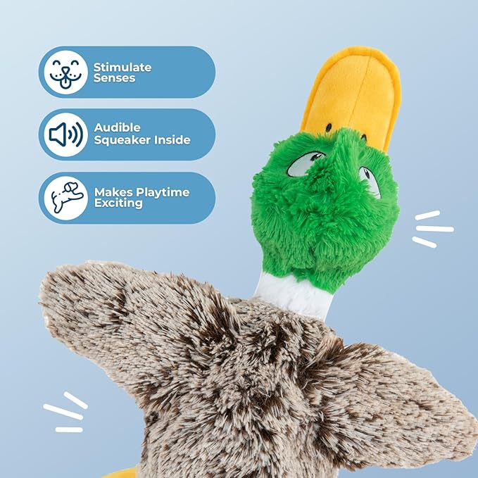 Best Pet Supplies Interactive Mallard Mates Dog Toy with Crinkle and Squeaky Enrichment for Small and Medium Breed Puppies or Dogs, Cute and Plush - Mallard Duck (Gray), Small - PAWPICO