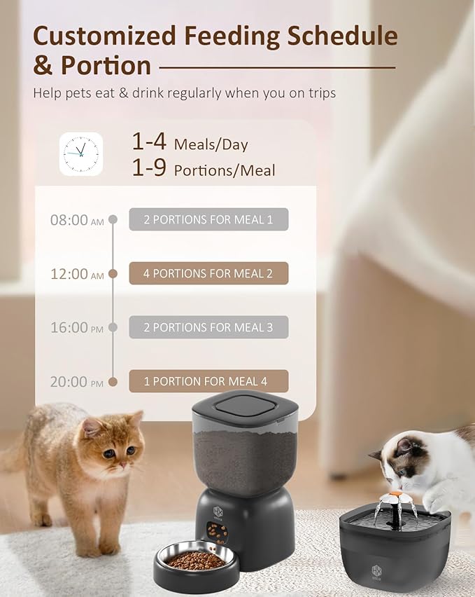 Automatic Cat Feeder and Water Dispenser Set with Pet Food Bowl Timer, Dual Power Supply, Programmable Portion Size, Auto Pet Feeder for Cats and Small Dogs, Voice Recorder, Black - PAWPICO