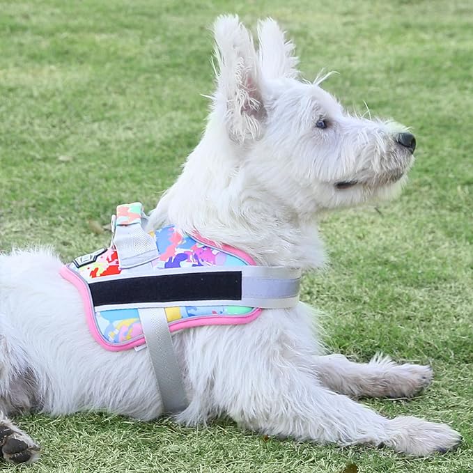 Bolux Dog Harness, No-Pull Reflective Dog Vest, Breathable Adjustable Pet Harness with Handle for Outdoor Walking - No More Pulling, Tugging or Choking (Medium (Pack of 1), OilPainting) Bolux