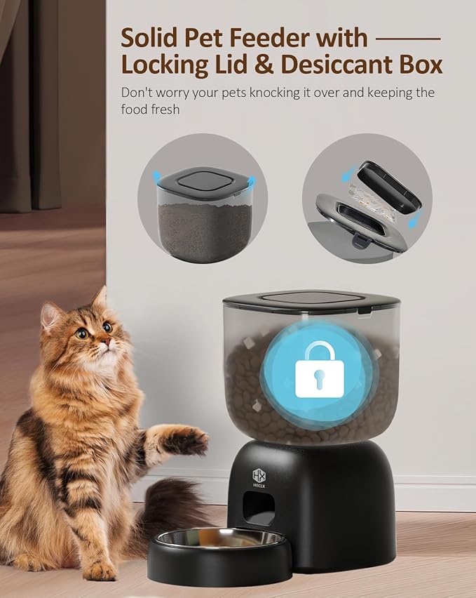 Automatic Cat Feeder and Water Dispenser Set with Pet Food Bowl Timer, Dual Power Supply, Programmable Portion Size, Auto Pet Feeder for Cats and Small Dogs, Voice Recorder, Black - PAWPICO