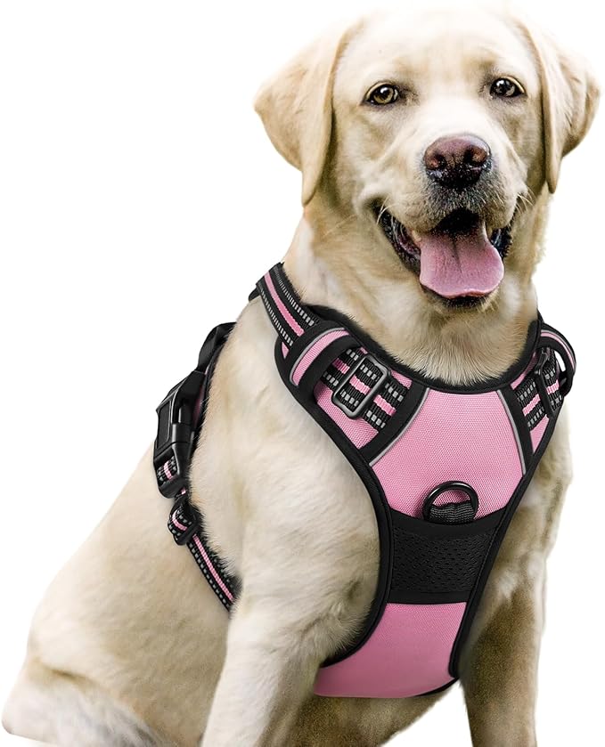 rabbitgoo Dog Harness No Pull with 2 Leash Clips, Adjustable Soft Padded, Reflective Oxford No Choke Pet Vest with Easy Control Handle for Large Dogs, Pink, L rabbitgoo