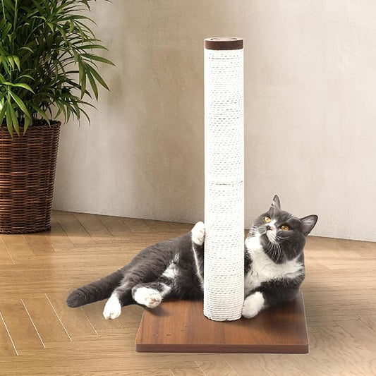Necoichi 23.6” Tall Cat Scratching Post Kitten Scratcher Paper Rope Scratch Posts Trees with Hanging for Indoor Cats (23.6 inches for Kitty, Regular, Dark Cherry) - PAWPICO
