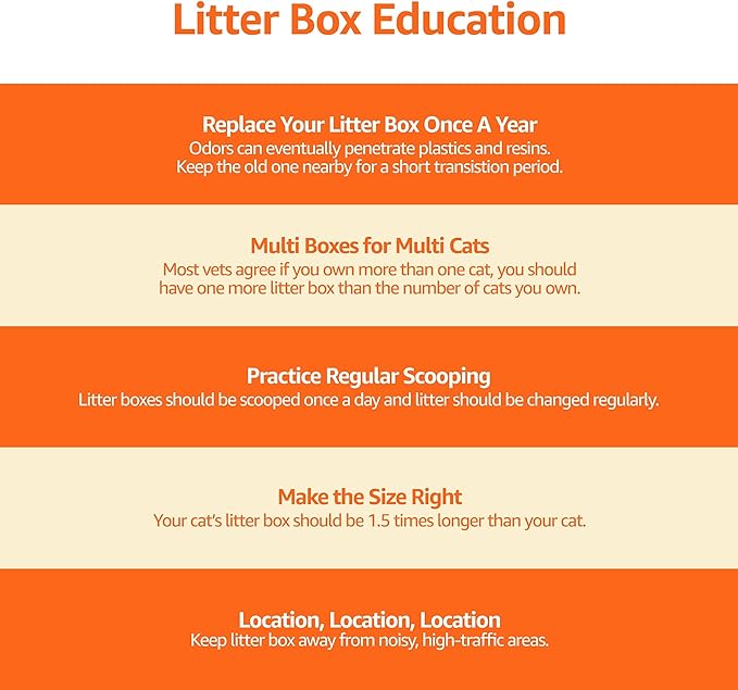 Amazon Basics No-Mess Hooded Enclosed Cat Litter Box, Large, Multicolor, 24 in x 18 in x 17 in - PAWPICO