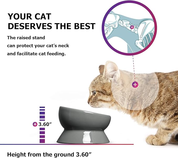 Y YHY Elevated Cat Food Bowl, Raised Pet Food and Water Bowl, Ceramic, 15oz - PAWPICO