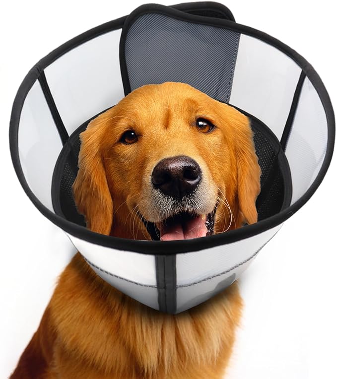 Soft Dog Cone for Dogs After Surgery, Breathable Pet Recovery Collar for Large Medium Dogs, Adjustable Dog Cone Collar, Elizabethan Collar (M, Black) PAWPICO