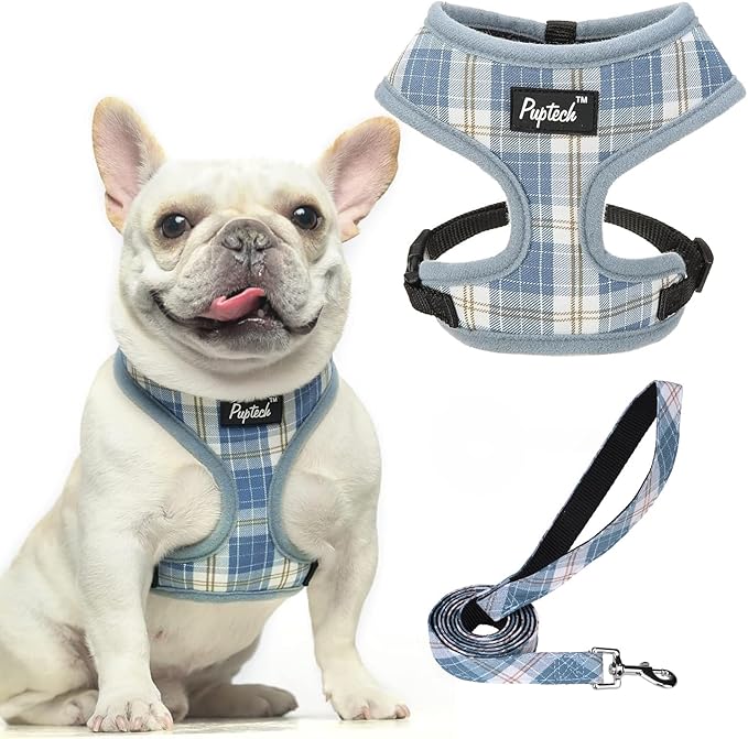PUPTECK Soft Mesh Dog Harness and Leash Set Pet Puppy Cat Comfort Padded Vest No Pull Harnesses, Sky Blue, L PUPTECK