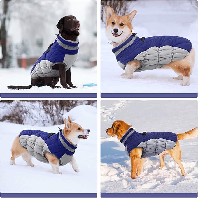 FUAMEY Dog Coat,Warm Dog Jacket Winter Coat Paded Dog Fleece Vest Reflective Dog Cold Weather Coats with Built in Harness Waterproof Windproof Dog Snow Jacket Clothes with Zipper Blue XXX-Large - PAWPICO