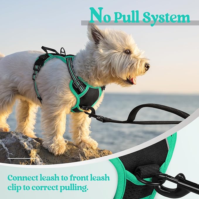 rabbitgoo Dog Harness No Pull with 2 Leash Clips, Adjustable Soft Padded, Reflective Oxford No Choke Pet Vest with Easy Control Handle for Puppy, Black & Turquoise, XS rabbitgoo