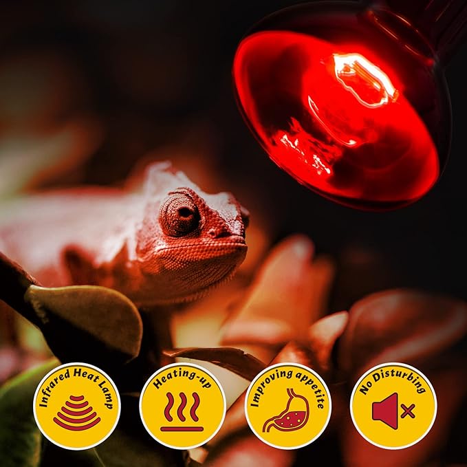 REPTI ZOO 2 Pack 100W Reptile Heat Lamp Bulbs,Upgraded Reptile Day and Night Basking Spot Bulb Combo Amphibian Infrared Heat Lamp Bulb/UVA Basking Spot Daylight Heating Light Bulb REPTIZOO