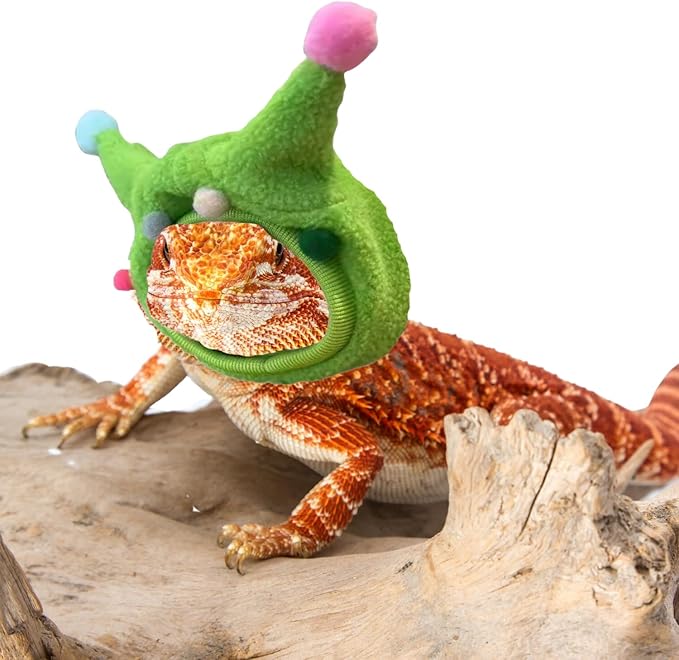 Bearded Dragon Hat - Winter Warm Lizard Cap with Horns & Pom Pom Ball Fun Halloween Outfit Bull Costume Elastic Headwear Accessories Anxiety Relief Ear Muffs for Reptile Fancy Rat Ferret (Green) SEZDEKI
