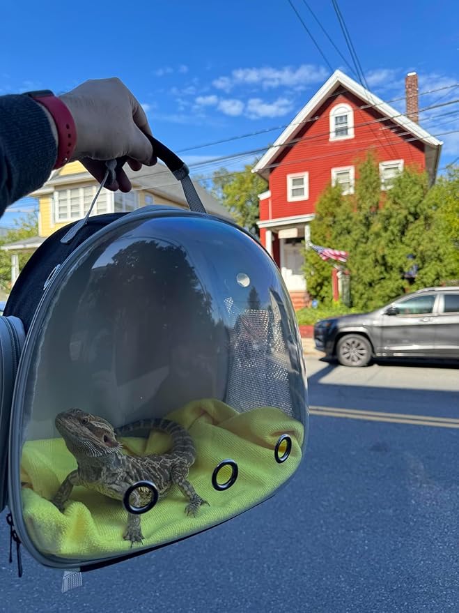 Small Animal Portable Backpack Carrier with Leather Harness and Leash Set,Space Capsule Clear Bubble Window Travel Backpack for Bearded Dragon,Guinea Pig,Rabbit,Airline Approved WEVONIGU