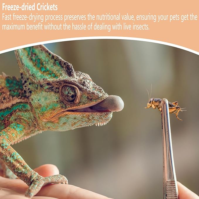 Freeze Dried Crickets – 4.5 Oz High Protein Freeze Dried Crickets, Food for Reptiles, Bearded Dragons, Lizards, Geckos, Birds, Fish,Hedgehogs, Bearded Dragon Food Jadingfarm