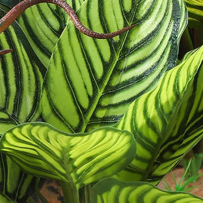 Terrarium Plants for Reptile Terrarium, Reptile Plants Tortoise Habitat Accessories, Artificial Spider Plant for Gecko, Ball Python, Tortoise Terrarium Décor - Calathea Makoyana A IBWell