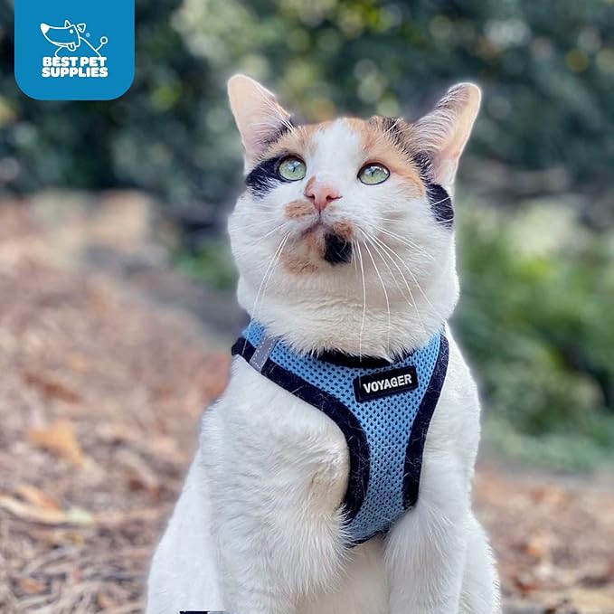 Voyager Step-In Air Dog Harness - All Weather Mesh, Reflective, No Pull Harness for Small, Medium Dogs, Cats - Secure with Hook & Loop Fastener, Buckle, Double D-Rings - Baby Blue/Black Trim, XXXS BestPetSuppliesLLC