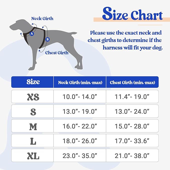 rabbitgoo Dog Harness No Pull with 2 Leash Clips, Adjustable Soft Padded, Reflective Oxford No Choke Pet Vest with Easy Control Handle for Puppy, Blue & Orange, XS rabbitgoo