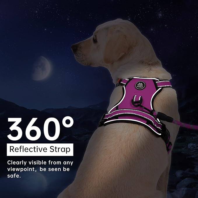 IVY&LANE No Pull Dog Harness for Medium Dogs, Dog Vest Harness with Leash, Safety Belt and Storage Strap, Fully Adjustable Harness, 360° Reflective Strip, Soft Handle (Fuchsia Pink,M) IVYLANE