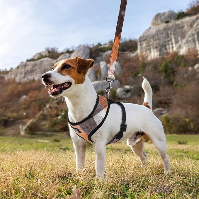 PUPTECK Soft Mesh Dog Harness and Leash Set Pet Puppy Cat Comfort Padded Vest No Pull Harnesses, Orange, XS PUPTECK