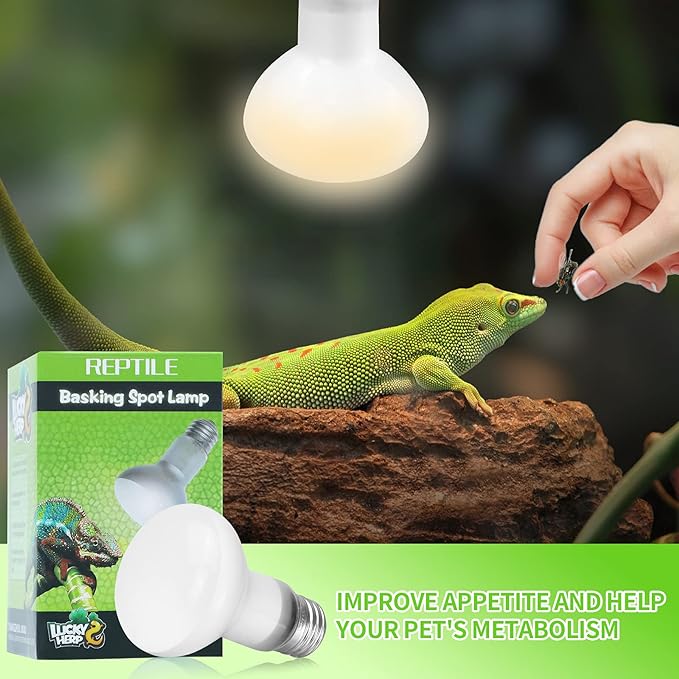 LUCKY HERP 2 Pack Reptile Heat Lamp Bulbs 75W (2nd Gen), Basking Light Bulb for Reptiles & Amphibians, Simulated Natural Sunlight Terrarium Heat Lamps for Bearded Dragon, Lizard, Turtle, Tortoise LUCKYHERP