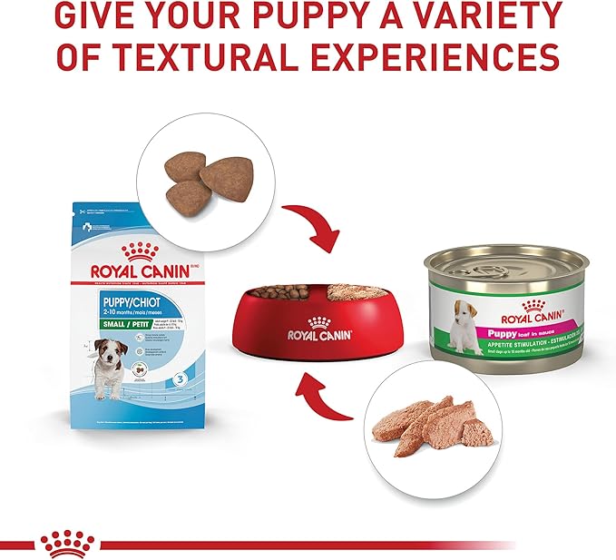 Royal Canin Size Health Nutrition Small Breed Dry Puppy Food, Supports Brain Development, Immune Support, and Digestive Health, 14 lb Bag - PAWPICO