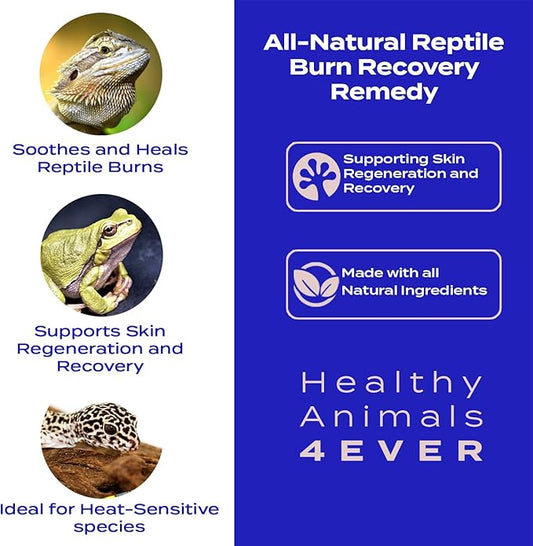 HealthyAnimals4Ever Natural Reptile Burn Recovery Remedy - Soothing & Revitalizing Homeopathic Formula for Burn Care, Skin Recovery & Comfort - 300 Count HealthyAnimals4ever
