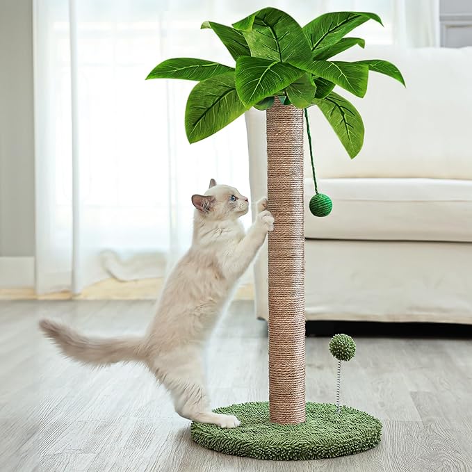 Dohump Cat Scratching Post, 26" Kitten Scratching Post with Premium Sisal Rope, Cute Cat Tree with Dangling and Spring Ball Toys for Indoor Small Cats - PAWPICO