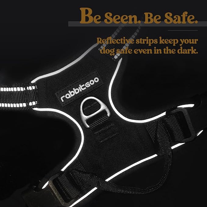 rabbitgoo Dog Harness No Pull with 2 Leash Clips, Adjustable Soft Padded, Reflective Oxford No Choke Pet Vest with Easy Control Handle for Large Dogs, Black, XL rabbitgoo