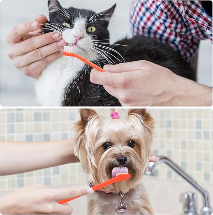 Double Headed Pet Dog Toothbrush for Small Dogs/Soft Bristles Puppy Long Handle Tooth Brush Dogs Teeth Cleaning/Bulk Toothbrushes Dental & Oral Care… (MIXED10) EASYAS